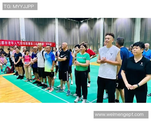 排球巨献：深入解析成都排球队员的个人技术与战术素养