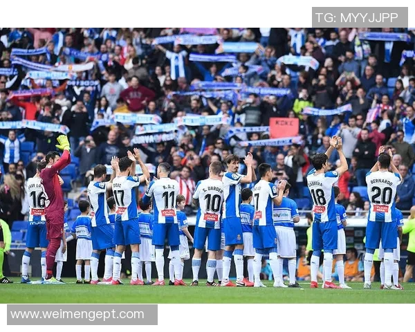 武汉排球队在洲际杯中的技术表现分析与未来发展展望