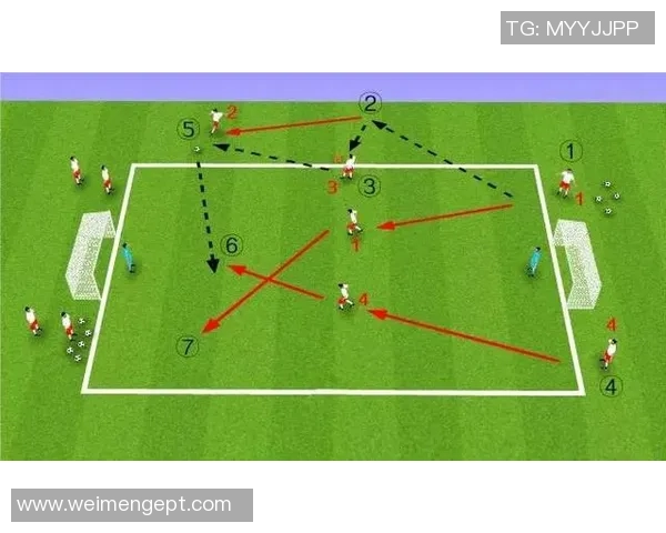 杭州足球队的战术创新与运营体系解析探讨